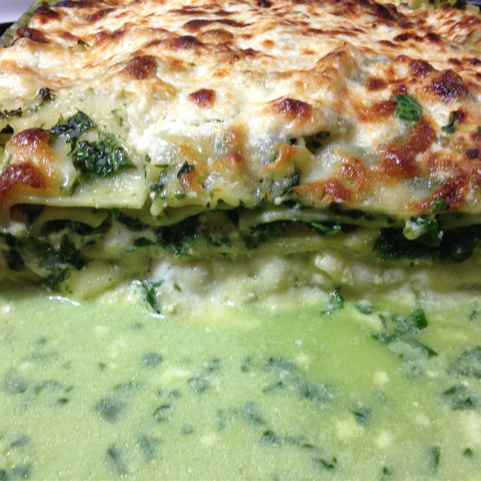 Lasagna Alfredo Recipe