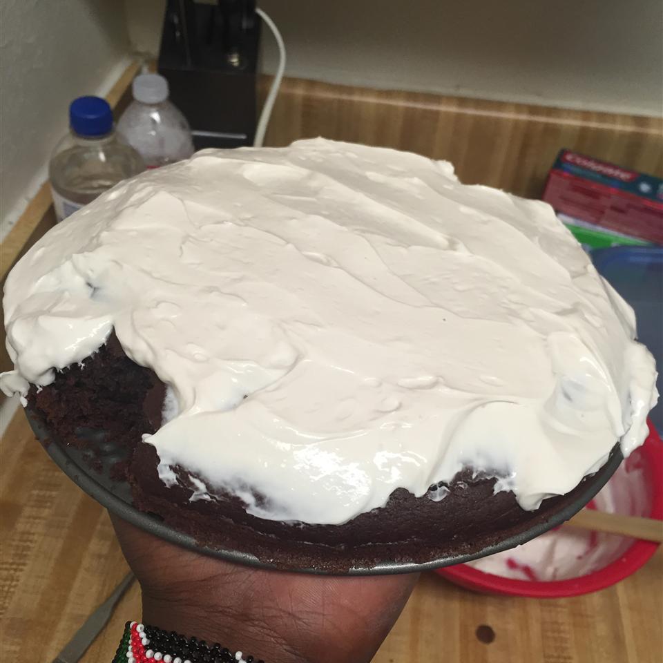 Thirty Minute Cocoa Cake With Quick Cocoa Frosting Recipe Allrecipes