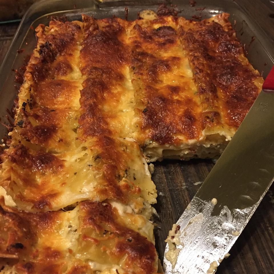 Lasagna Alfredo Recipe