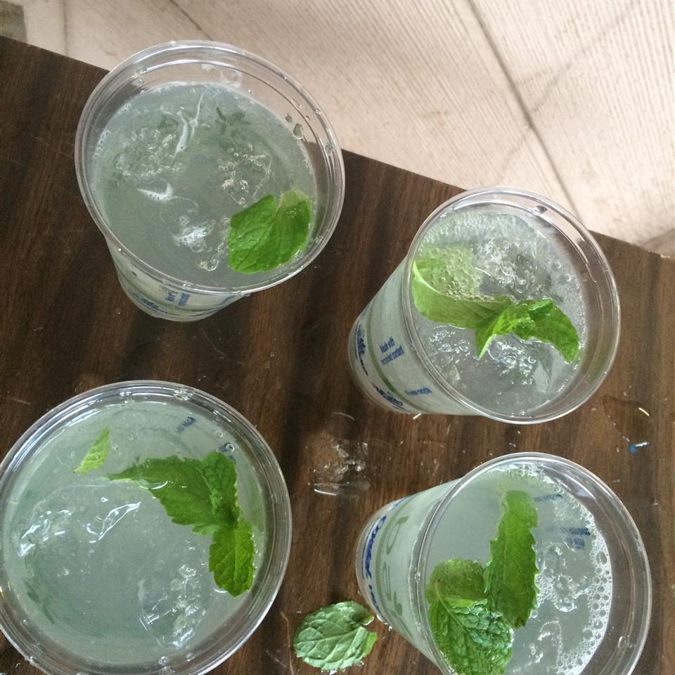 AlcoholFree Mint Julep Recipe Allrecipes