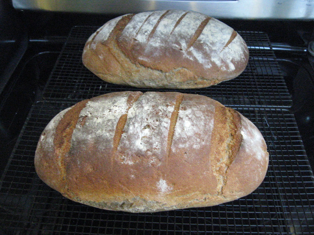 Authentic German Bread (Bauernbrot) image