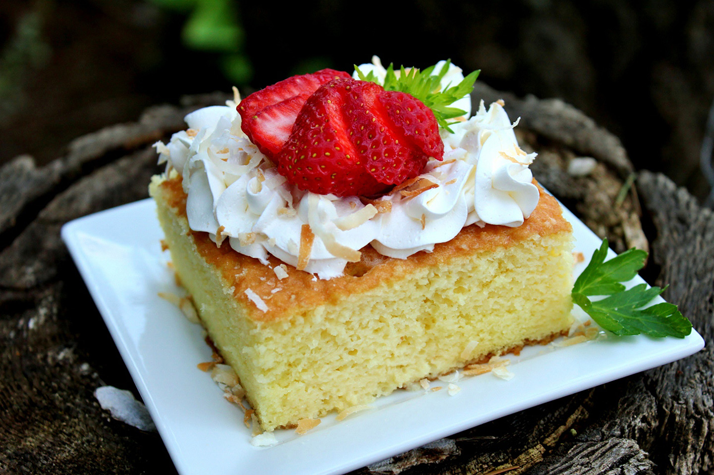 Pastel de Tres Leches (Three Milk Cake) image