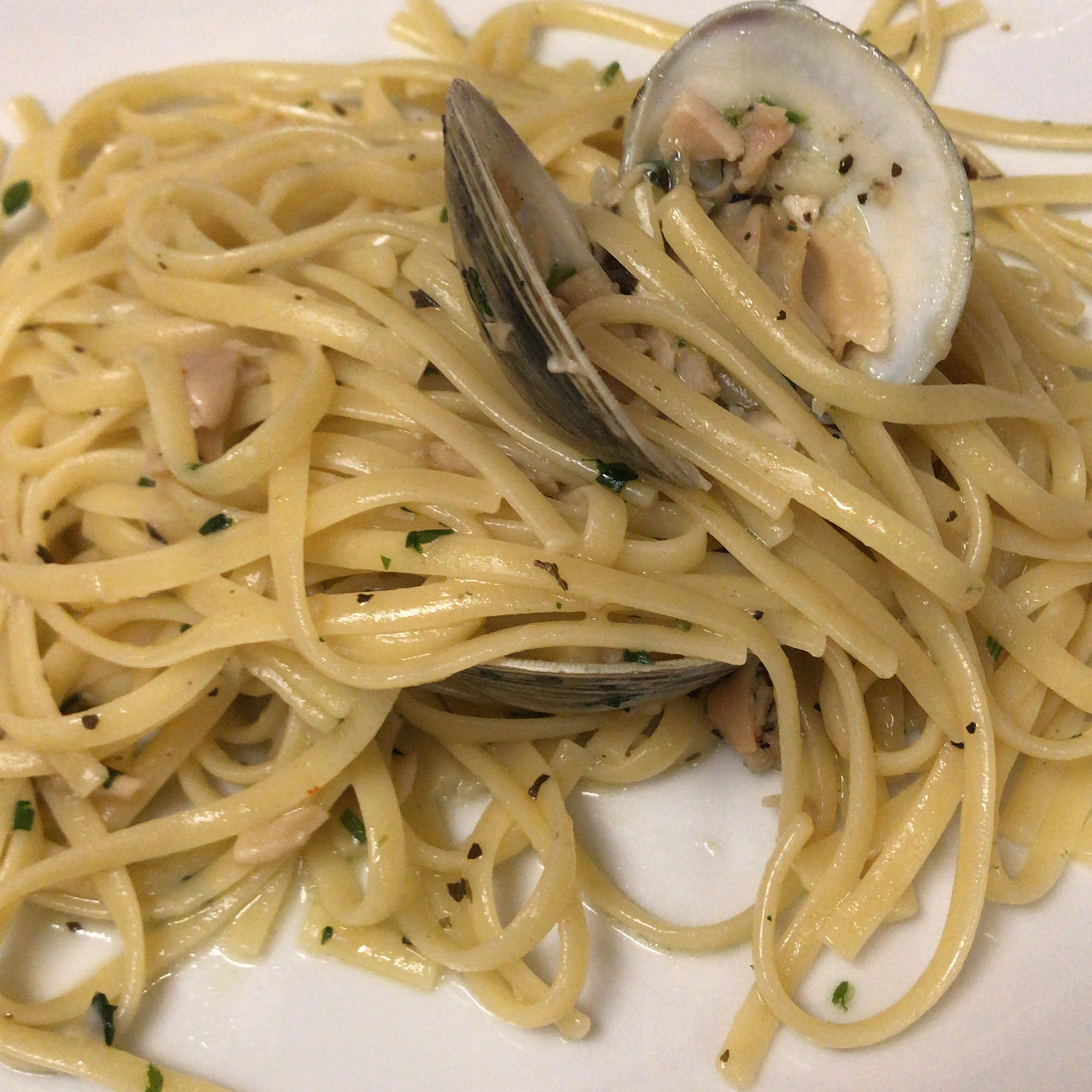 Linguine with White Clam Sauce II_image