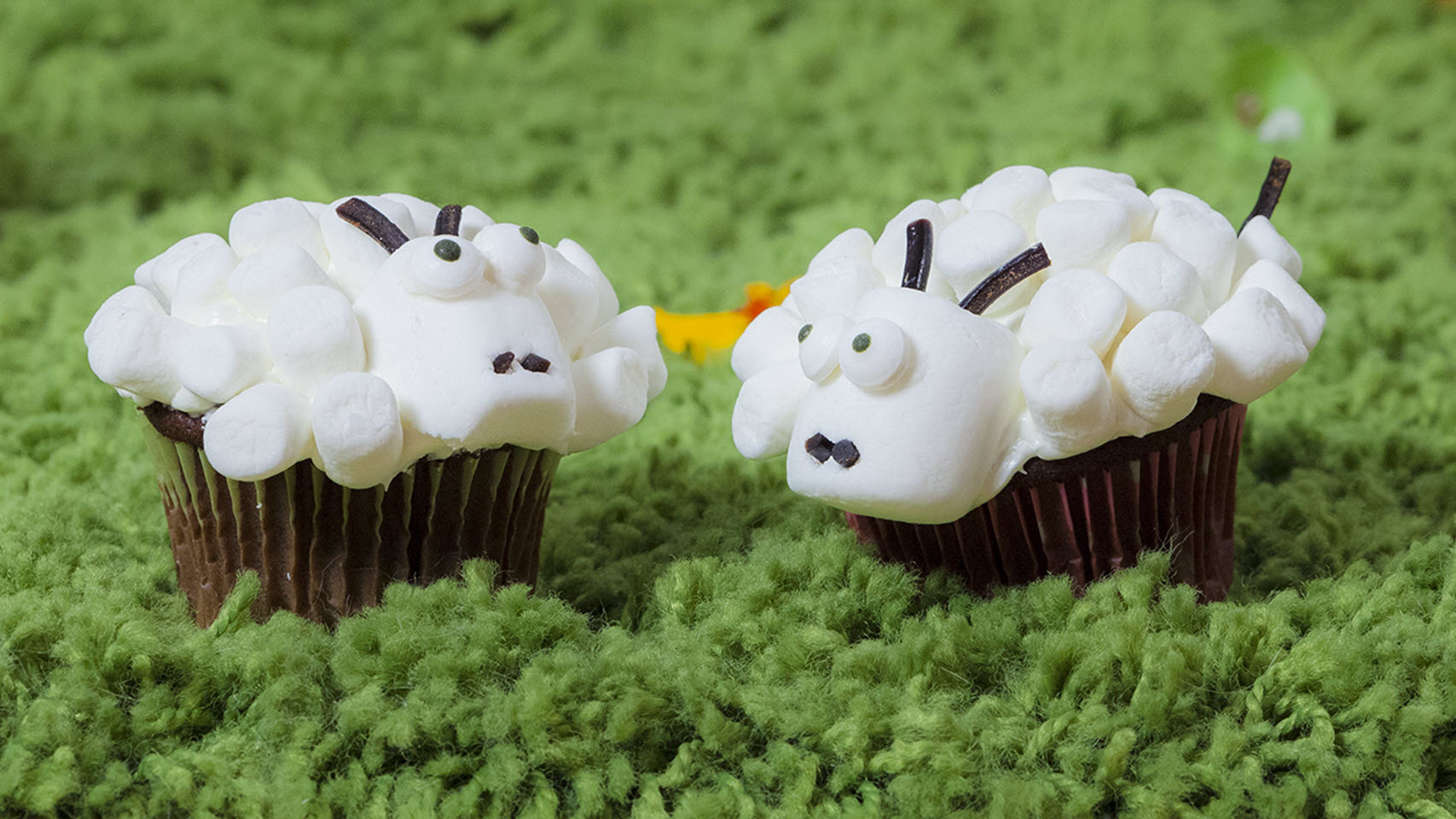 Easter Lamb Cupcakes_image