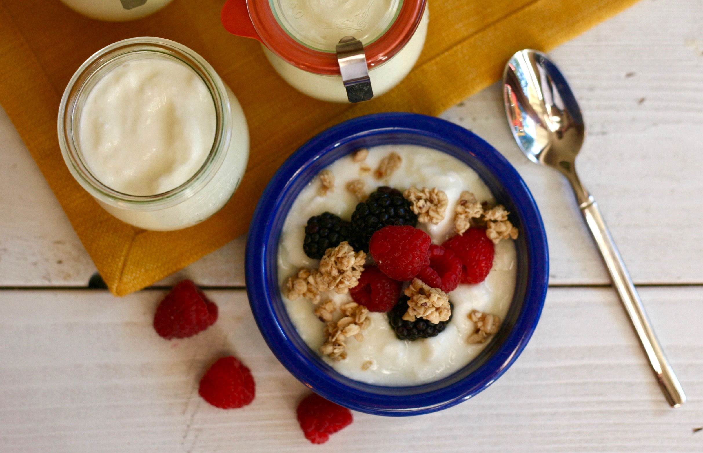 Traditional Homemade Yogurt image