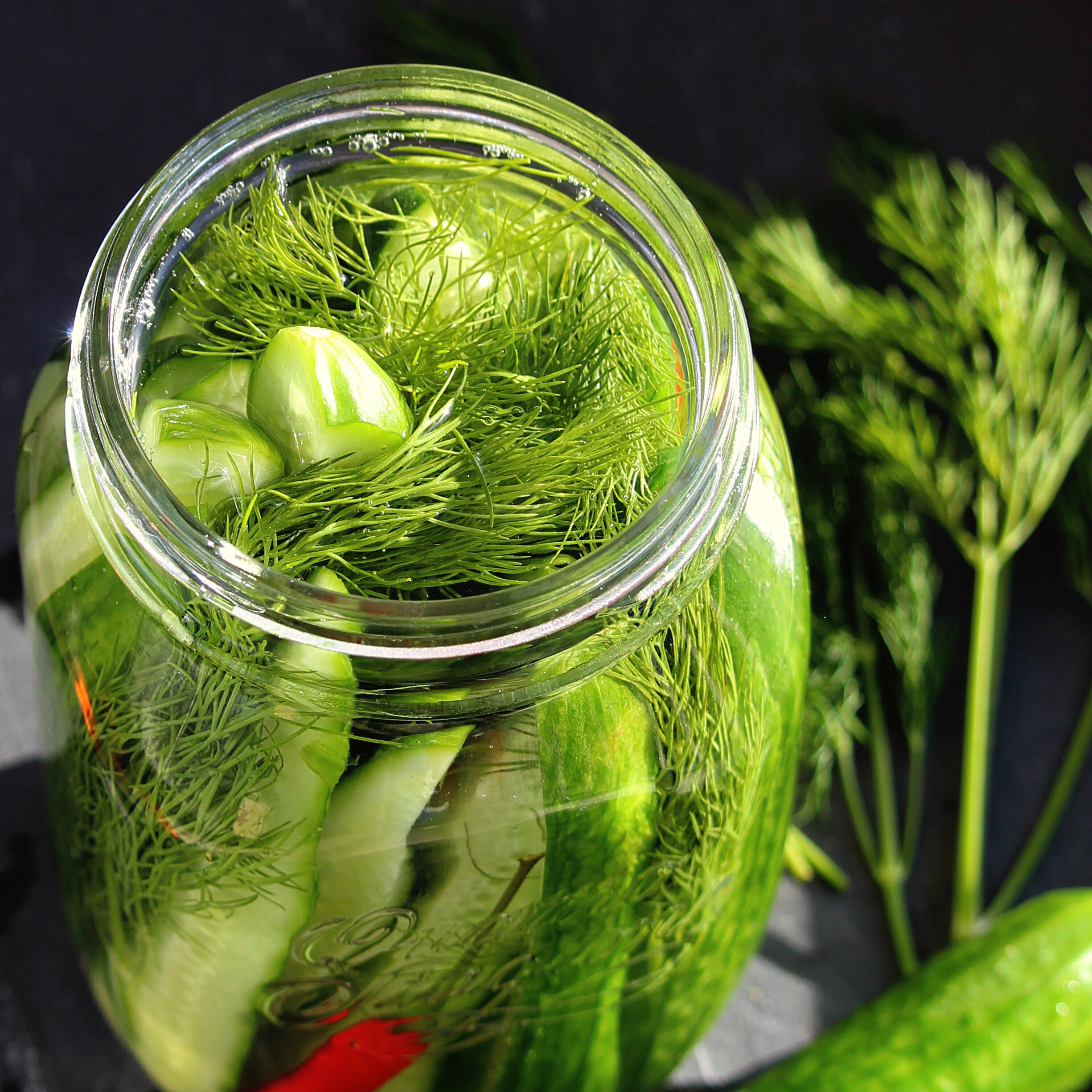 Fermented Kosher-Style Dill Pickles_image