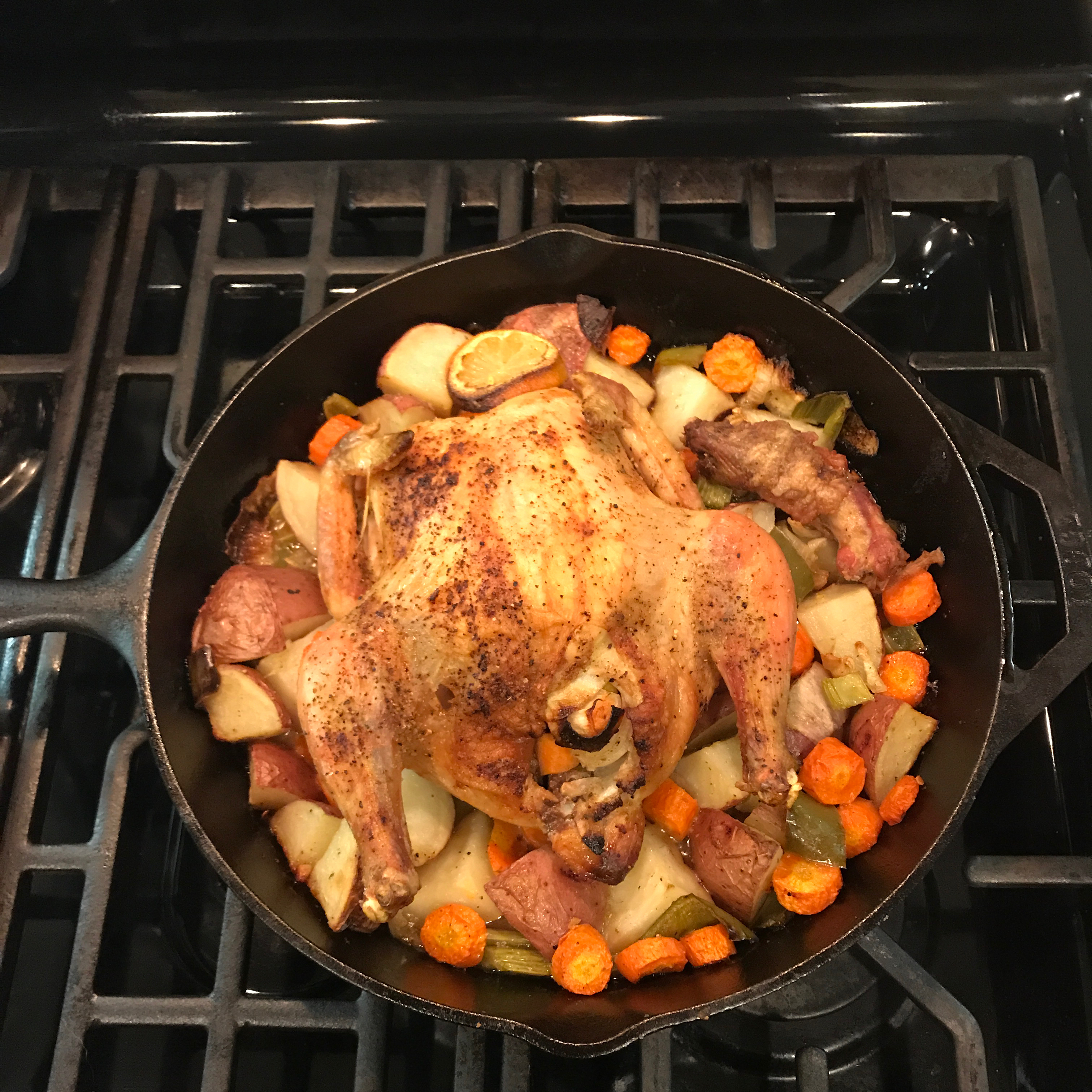 Roast Chicken and Vegetables_image