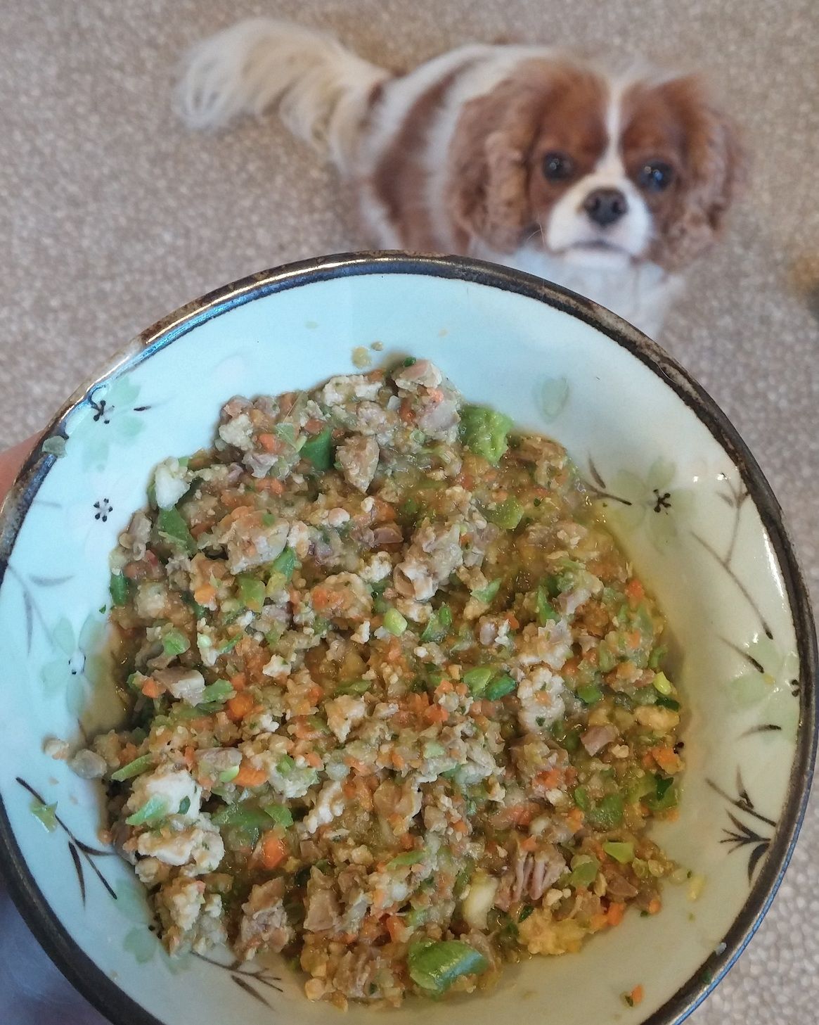 GrainFree Homemade Dog Food Recipe Allrecipes