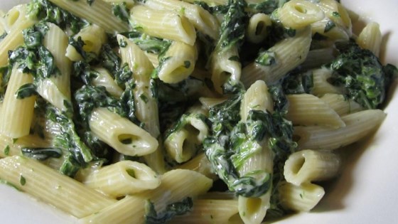 Spinach Alfredo Sauce Better Than Olive Garden Recipe