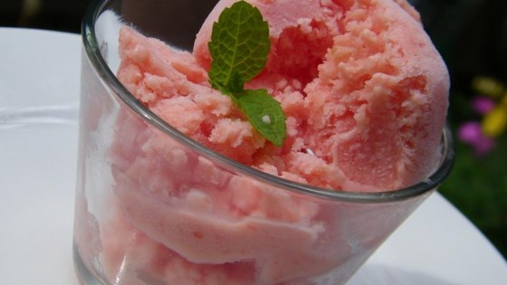 Watermelon Sherbet Best Family Recipes