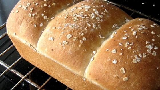 Light Oat Bread Popular Recipes