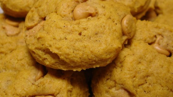 Pumpkin Cookies I Recipe - Allrecipes.com