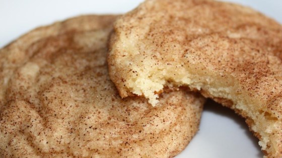 Mrs. Sigg's Snickerdoodles » Big Flavors from a Tiny Kitchen