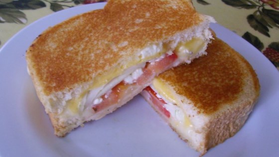 Easy Lunch Recipe-Greek Grilled Cheese