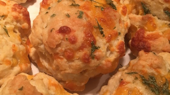 red lobster biscuit recipe