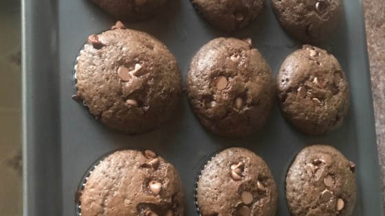 Moist Chocolate Muffins Recipe - Allrecipes.com