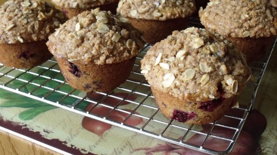 Photo about Blackberry Muffins by Robin Surland