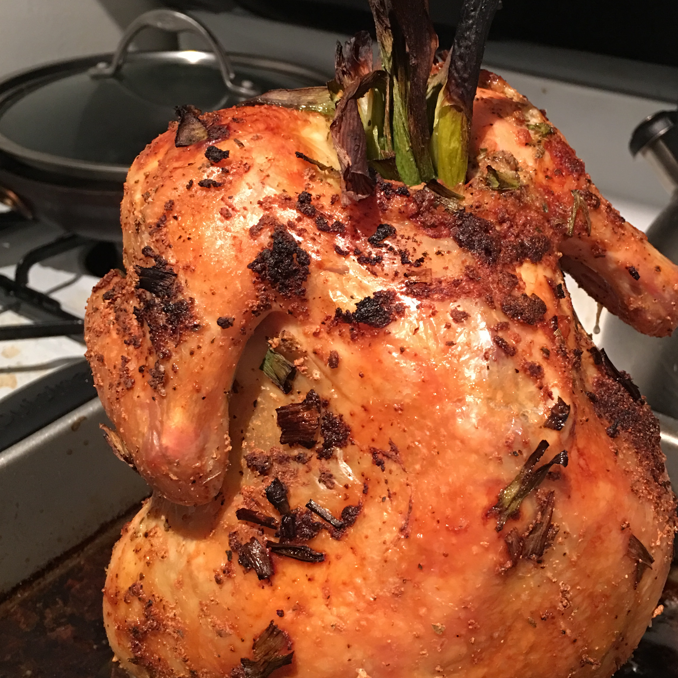 Beer chicken recipe oven