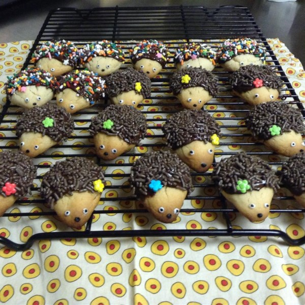 Hedgehog Cookies Photos