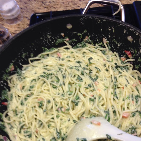 Spinach Alfredo Sauce Better Than Olive Garden R Photos