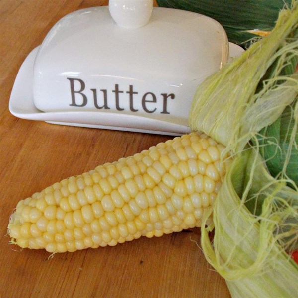 Microwave Corn On The Cob In The Husk Photos Allrecipes Com   1325169 