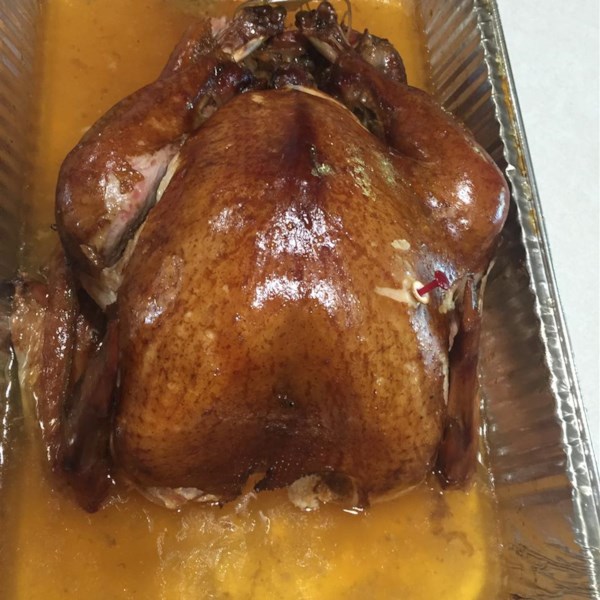 Out of this World Turkey Brine Photos