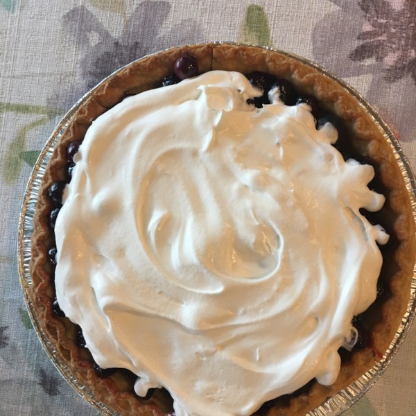 Fresh Blueberry Pie Ii Photos 