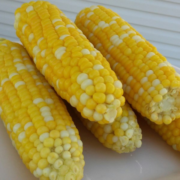 jamie-s-sweet-and-easy-corn-on-the-cob-photos-allrecipes