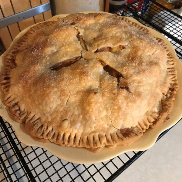 Aunt Carol's Apple Pie Photos - Allrecipes.com