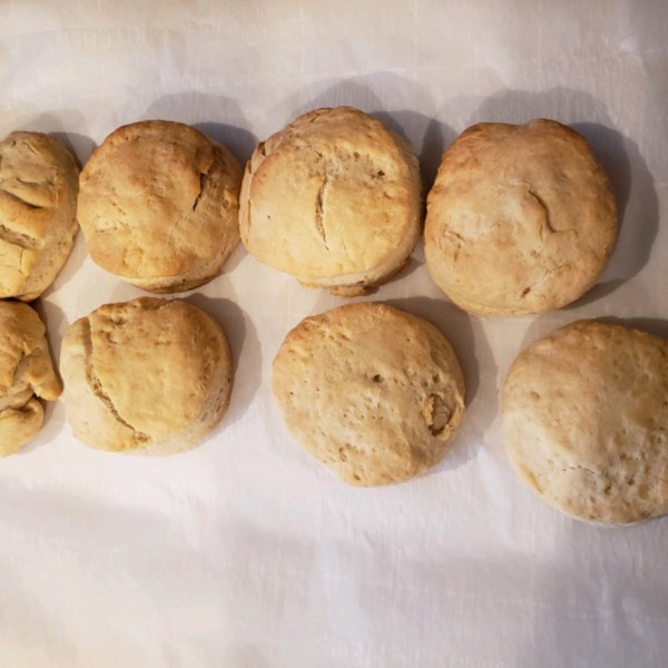  Basic Biscuits  Photos Allrecipes com