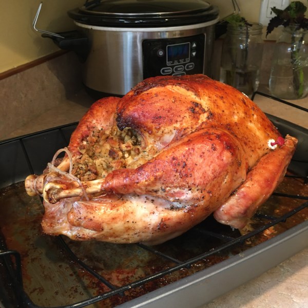 A Simply Perfect Roast Turkey Photos