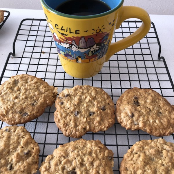 Oatmeal Cookie Pudding Shots Recipe at Danica Rocha blog