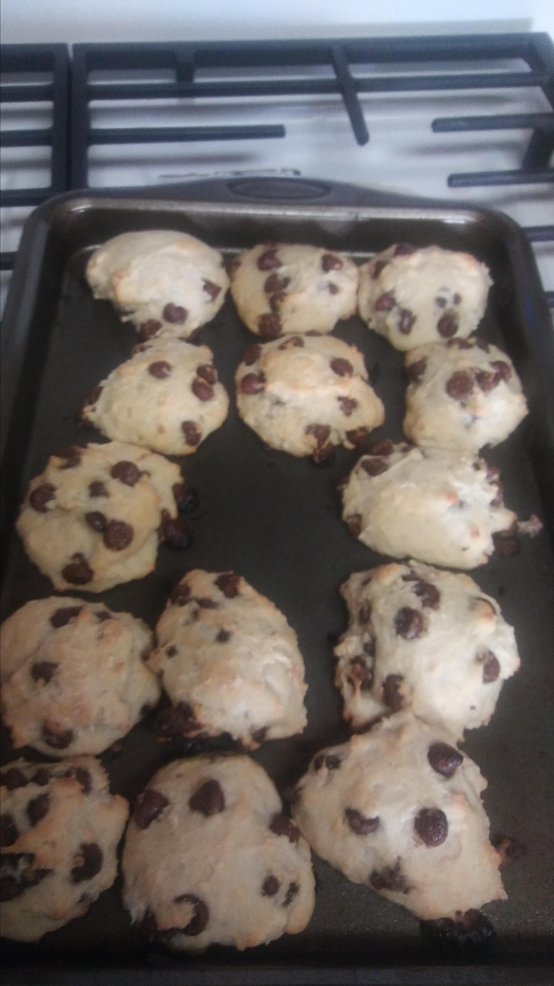 Chocolate Chip Scones Recipe Allrecipes 7691