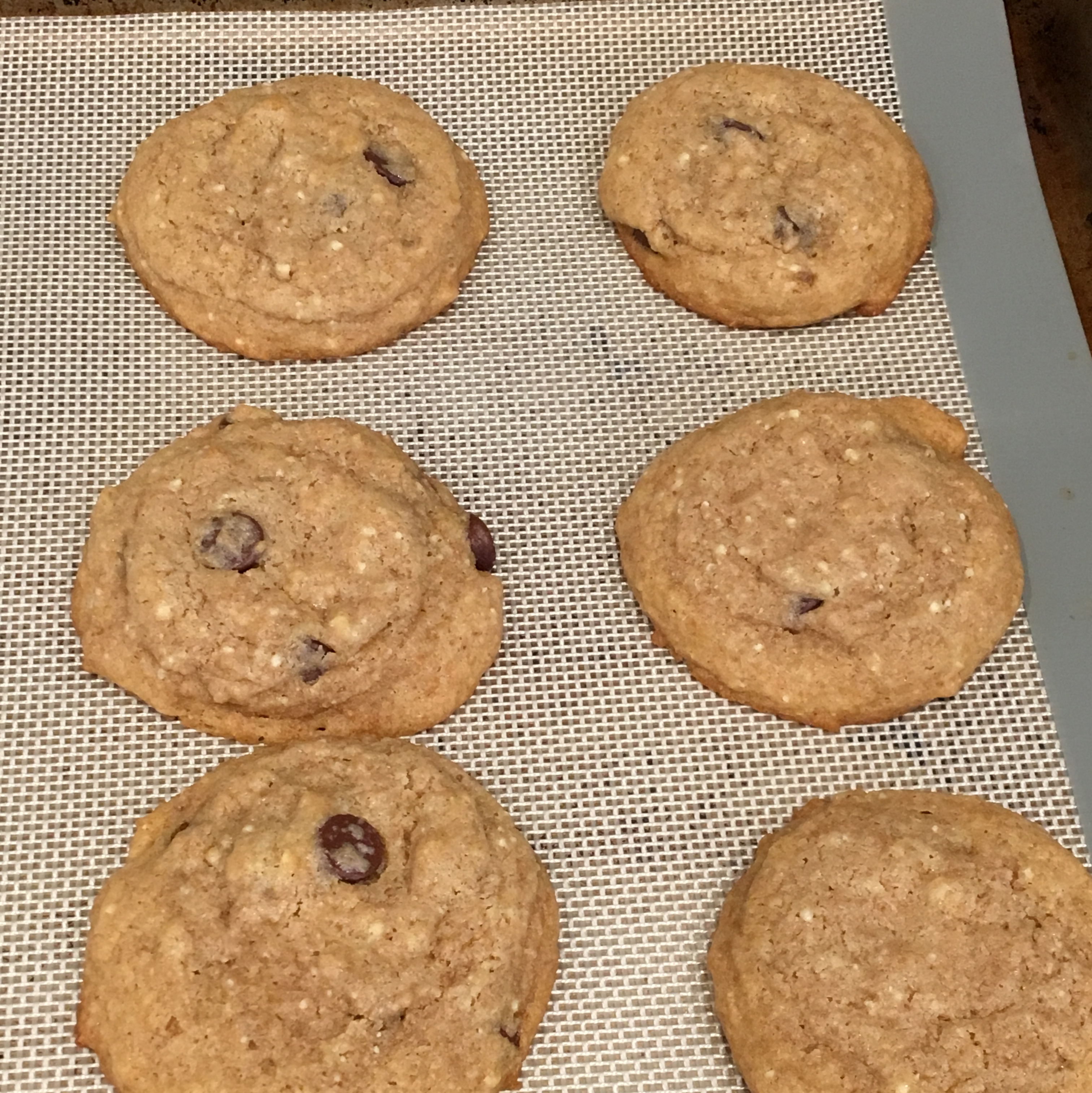 Whole White Wheat and Honey Chocolate Chip Cookies image