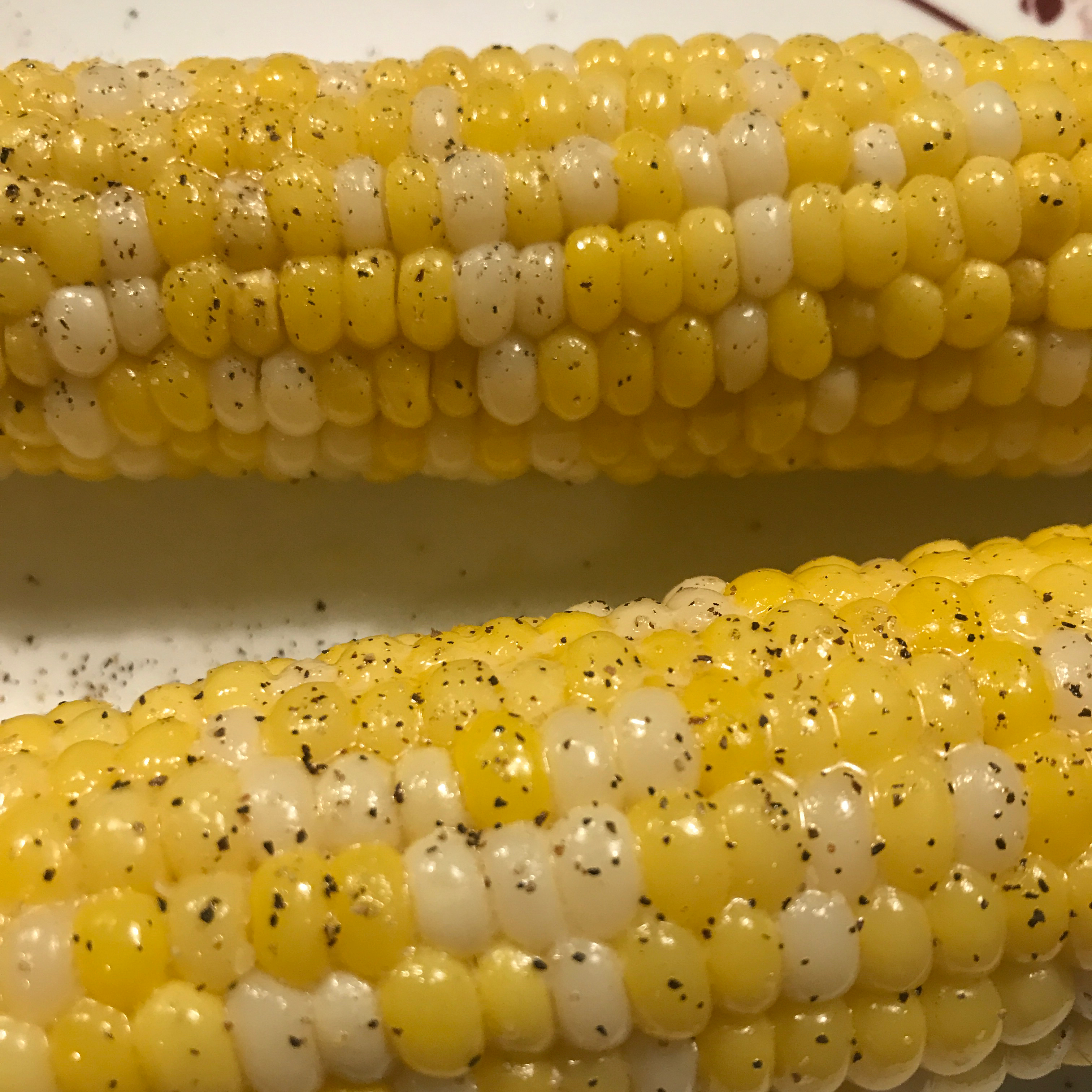 All 90+ Images corn on the cob mold on the husk Updated