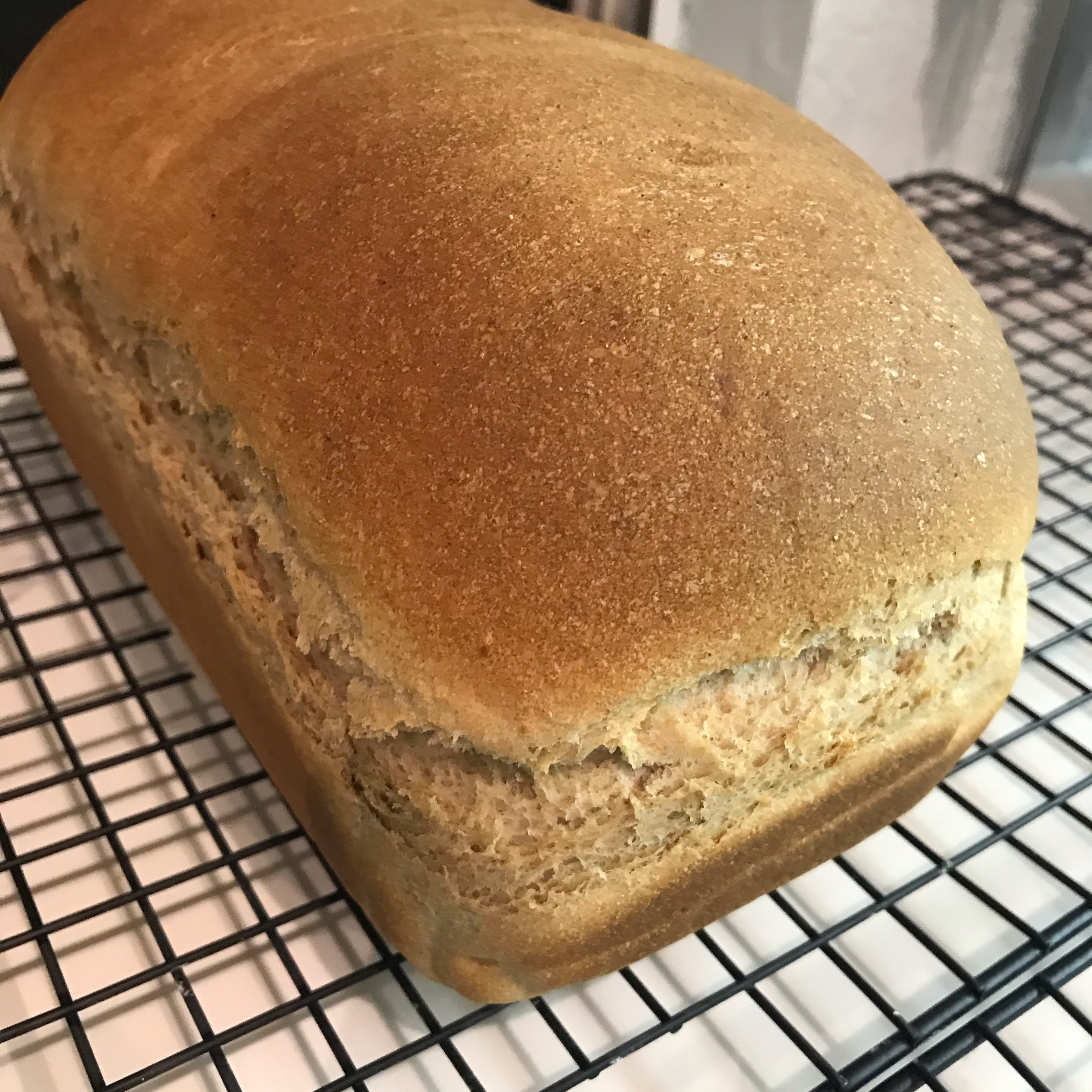 Mrs. Carrigan's Honey Wheat Bread Recipe | Allrecipes