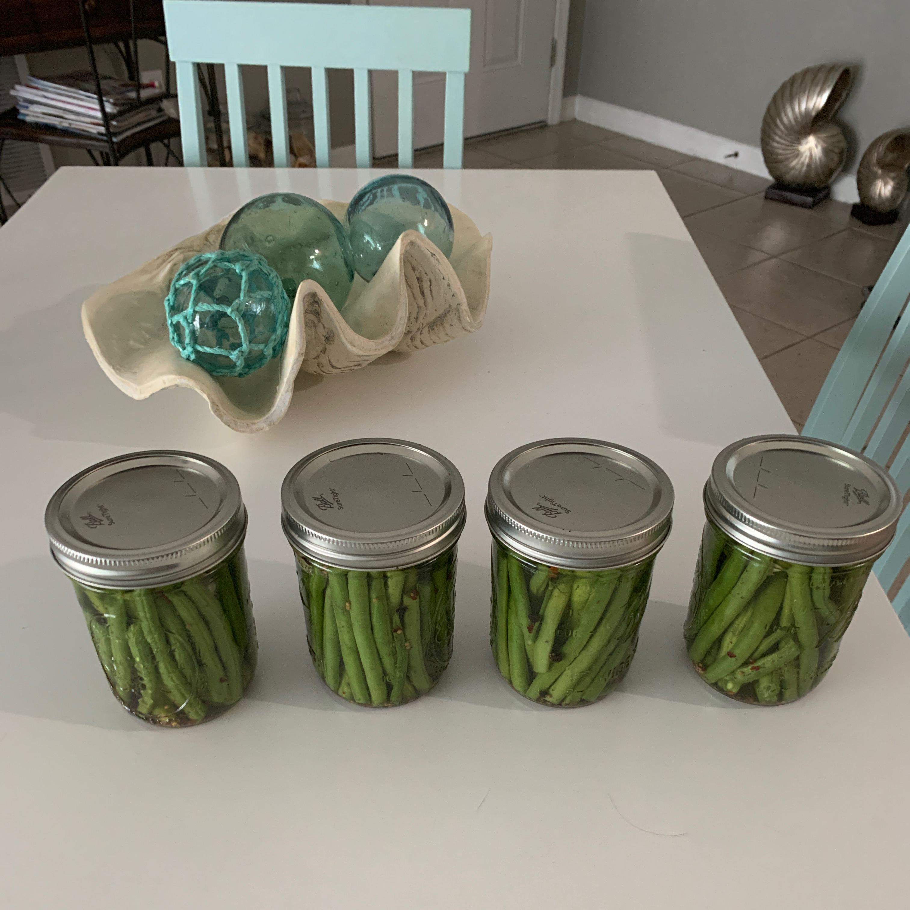 Cold Pickled Green Beans Recipe Allrecipes,Chameleon Petsmart