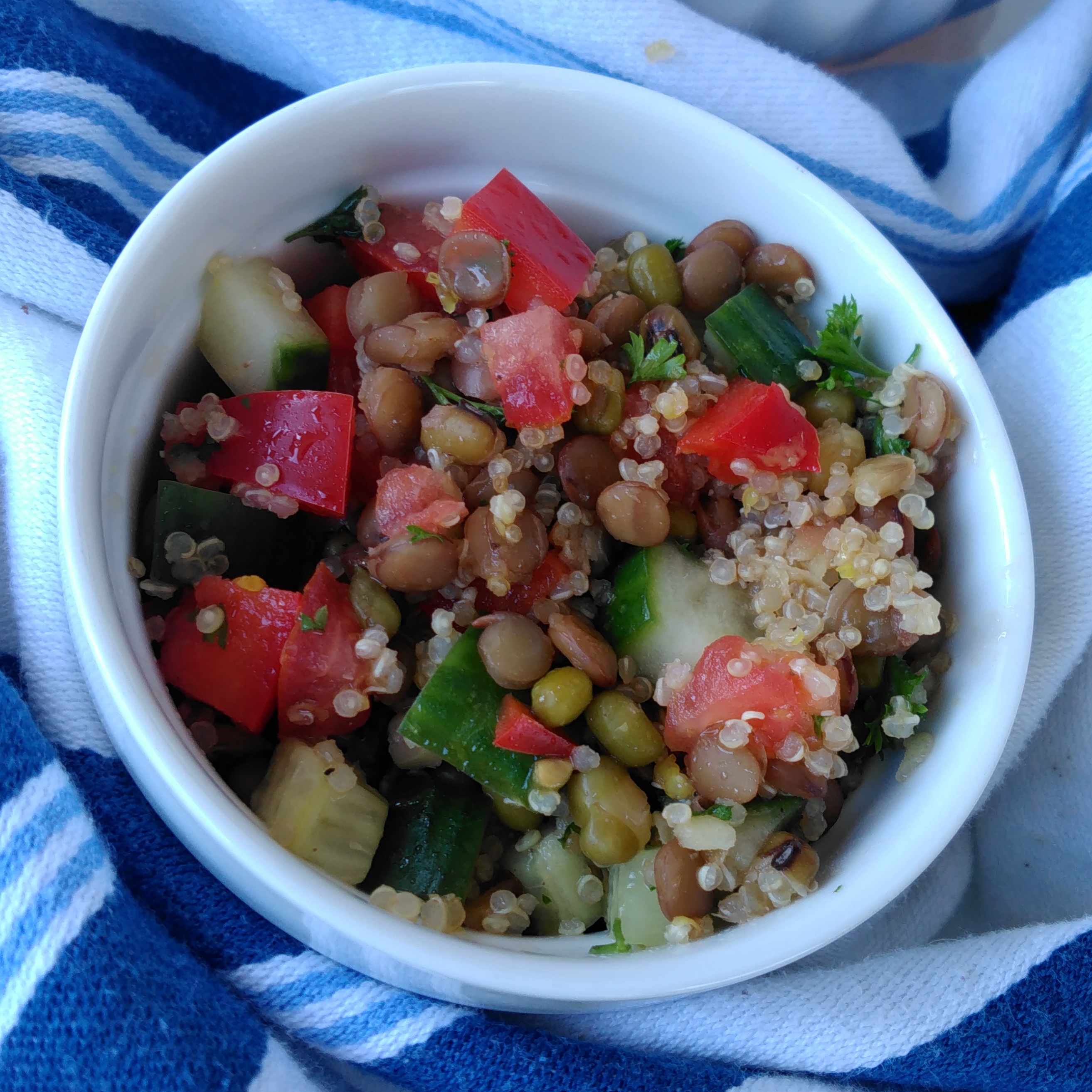 Lentil, Quinoa, and Mung Bean Salad_image