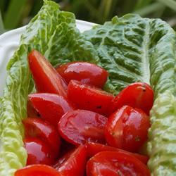 Fast, Fresh Grape Tomato Salad image