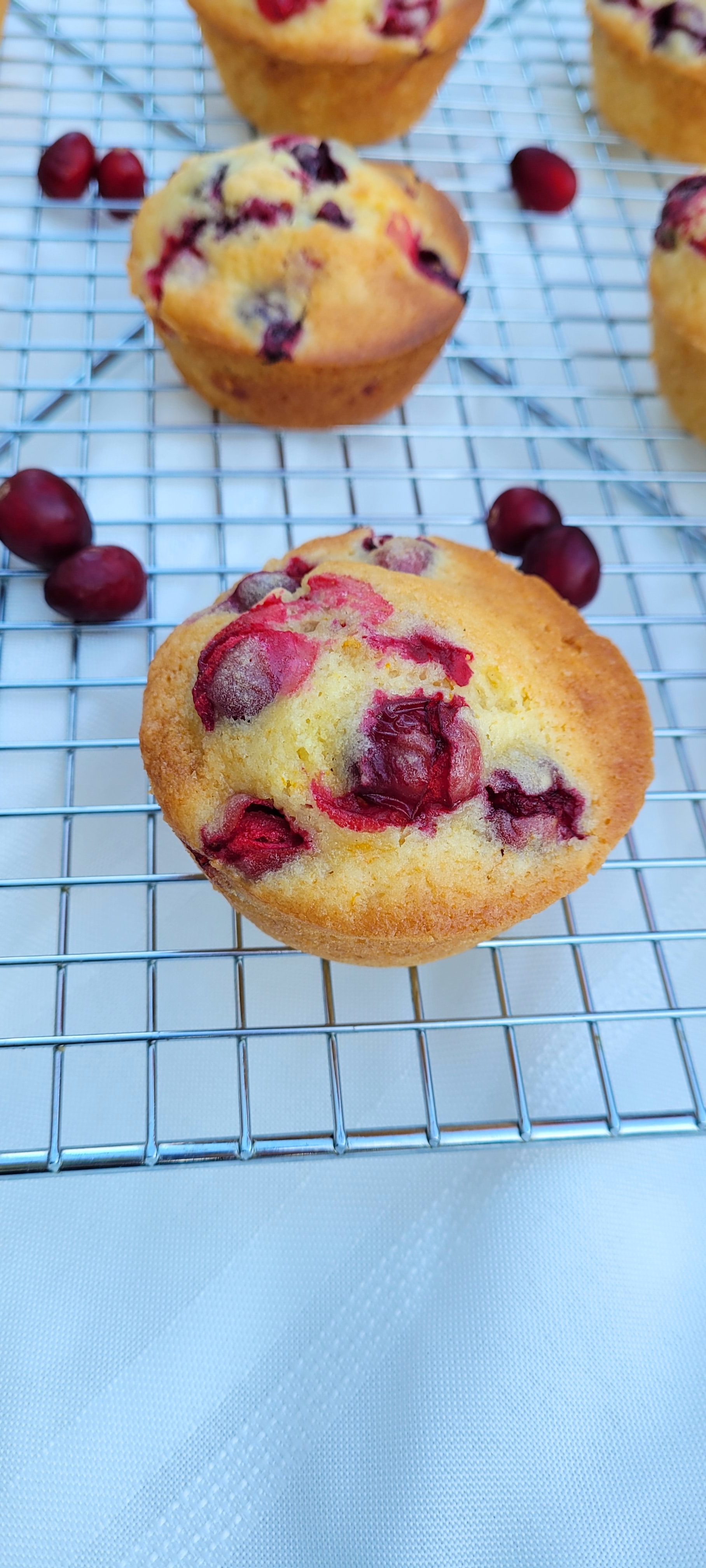 Easy Cranberry-Orange Muffins image