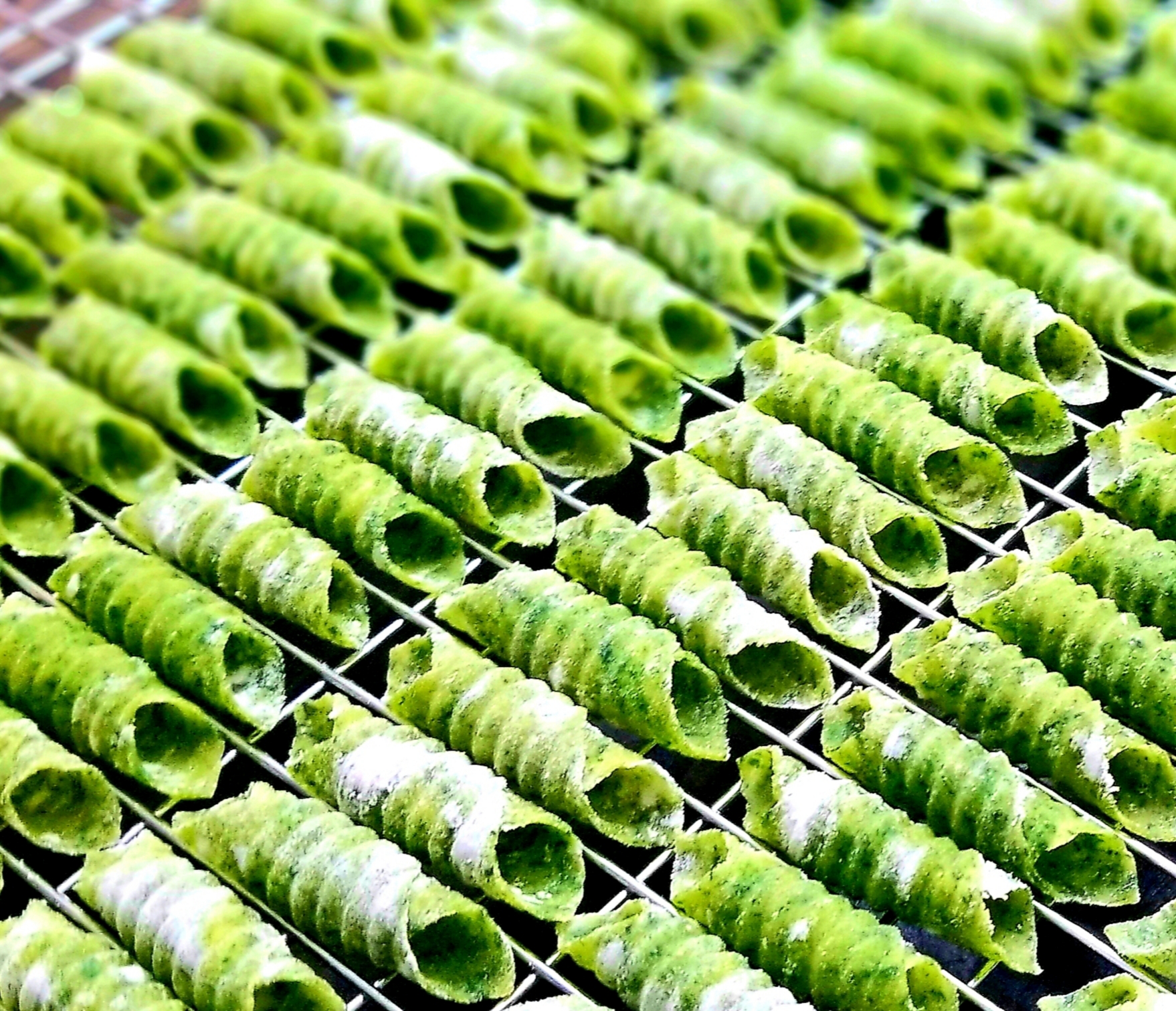 Homemade Spinach Pasta_image